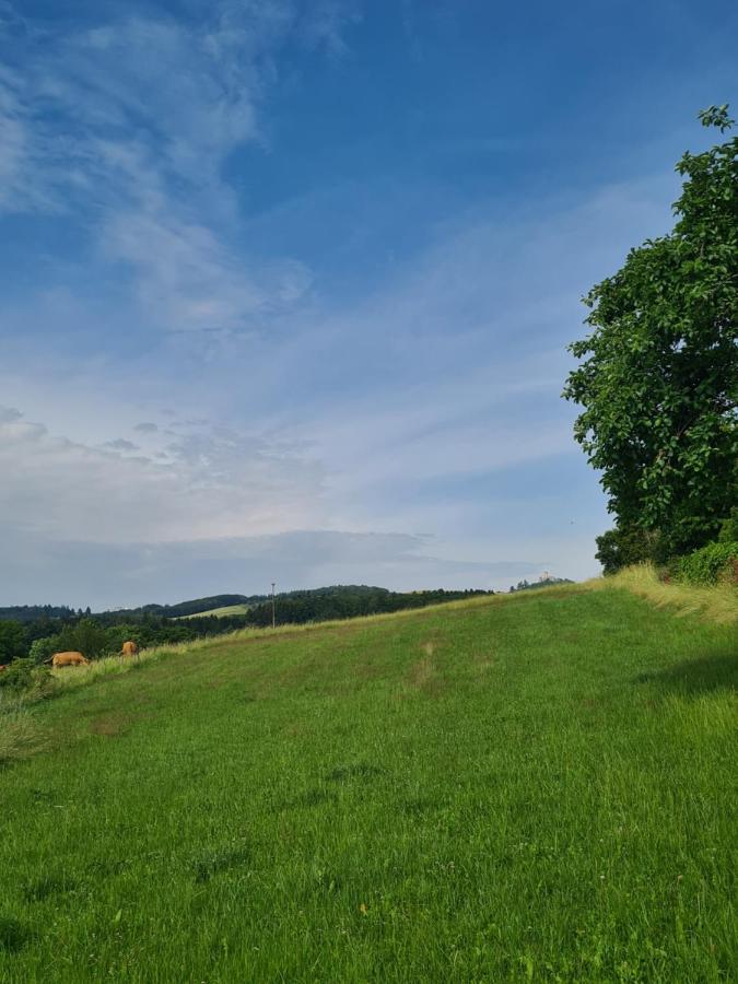 Pension Larifari Drees Exteriér fotografie